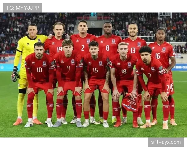 欧洲杯预选赛土耳其表现稳健，竞争力持续提升