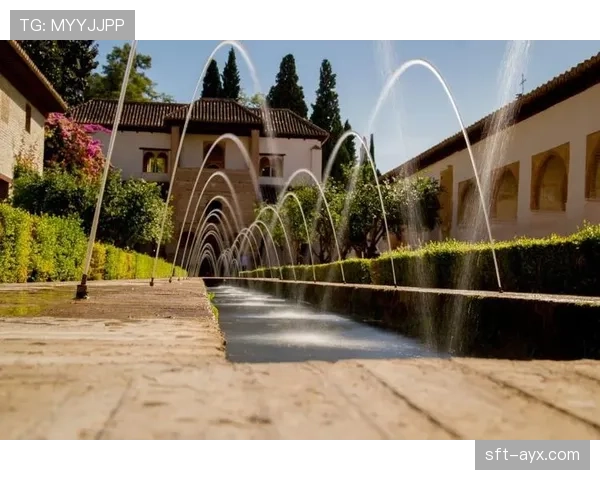 格拉纳达逼抢体系